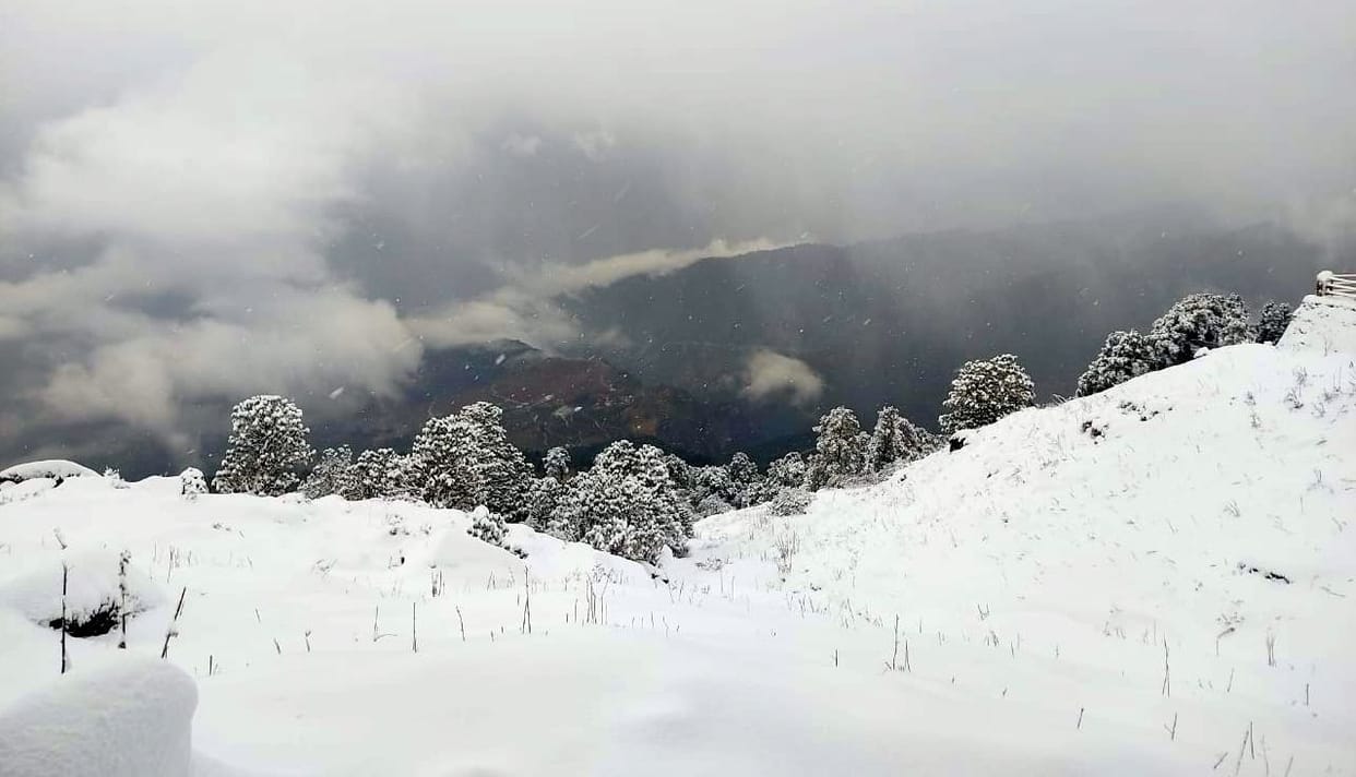 Snowfall in Munsyari