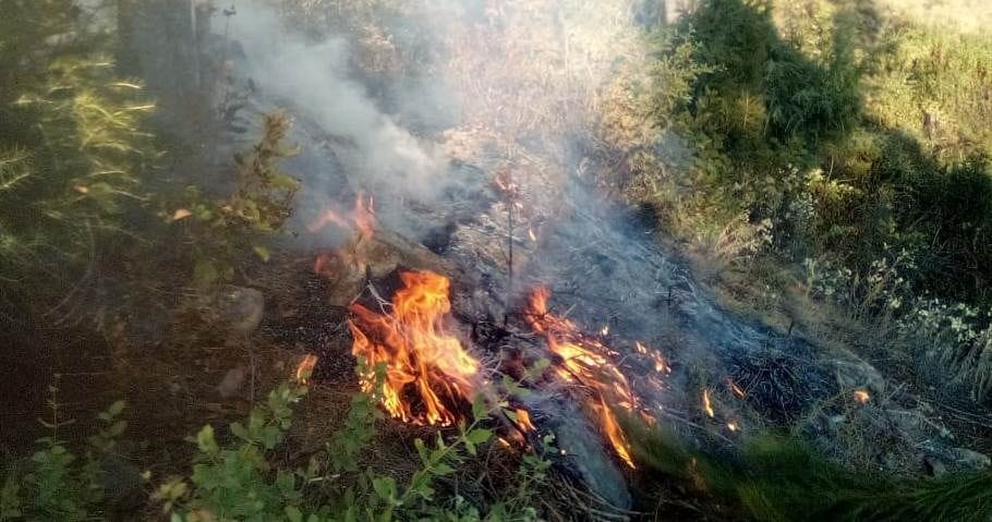 Forest Fire in Lohaghat