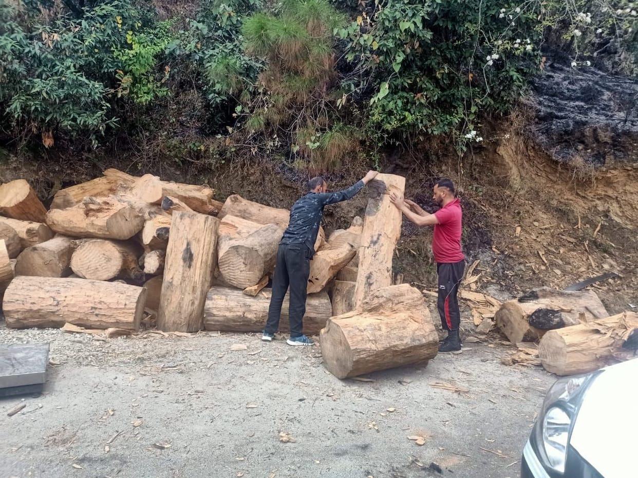 Peel gulia and sleeper recovered, forest officer reached village on complaint of exploitation of peel gulia in Ninodi
