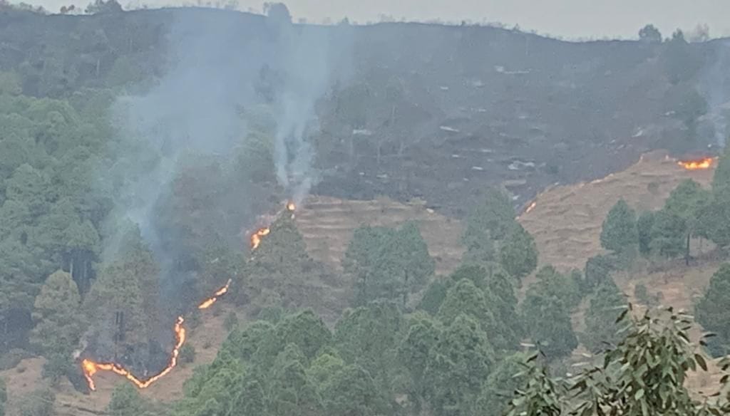 Forest Fire in Jhulaghat