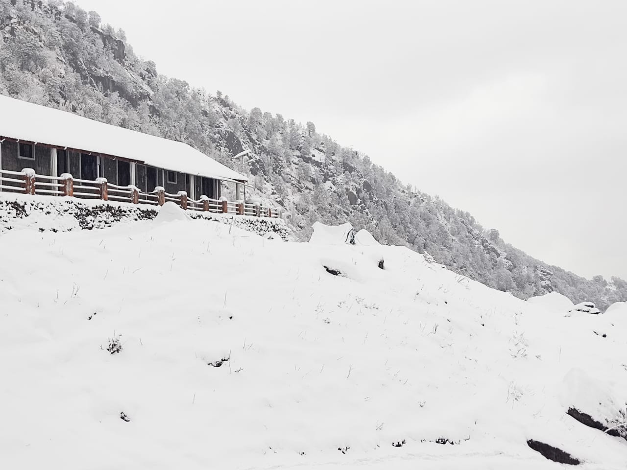 Uttarakhand Weather Forecast Today Update : snowfall in uttarakhand hilly areas photos