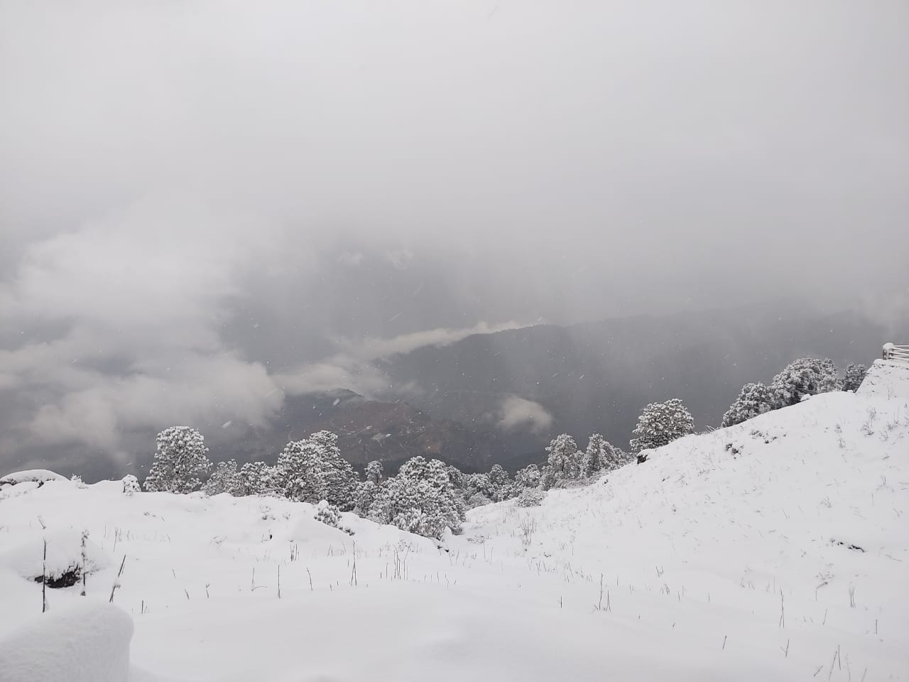 Uttarakhand Weather Forecast Today Update : snowfall in uttarakhand hilly areas photos