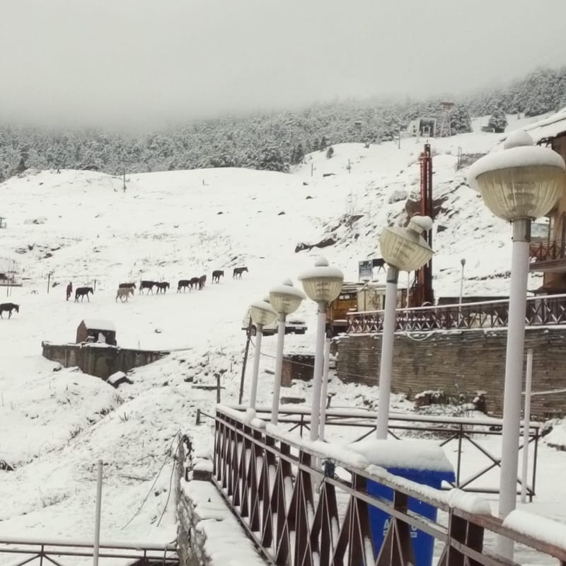 Uttarakhand Weather Forecast Today Update : snowfall in uttarakhand hilly areas photos