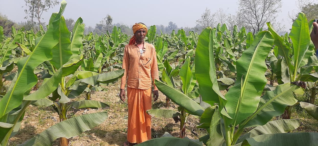 Shyamlal life on track due to commercial farming