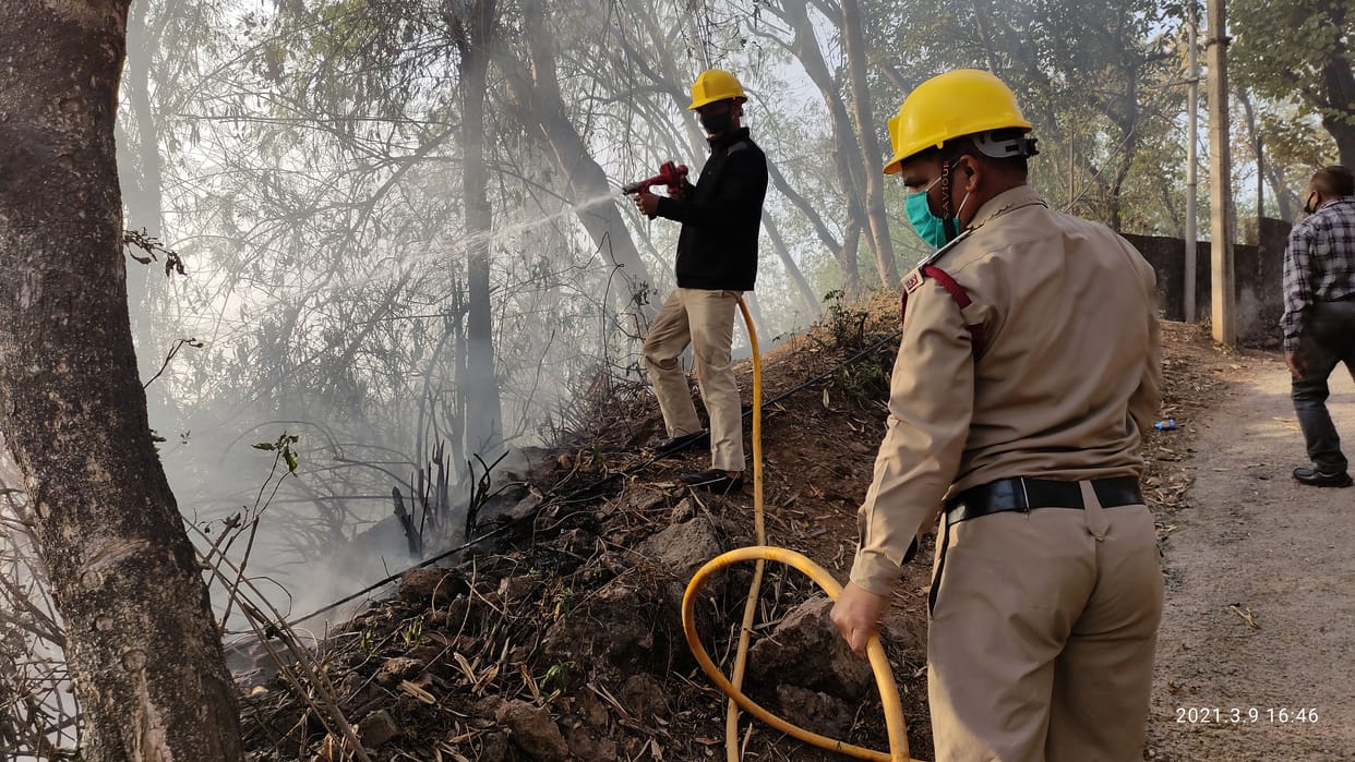 fire in grass in bilaspur