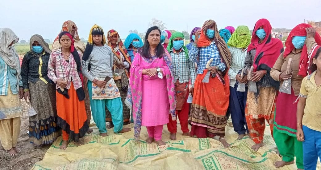 lady farmer protested against farm law