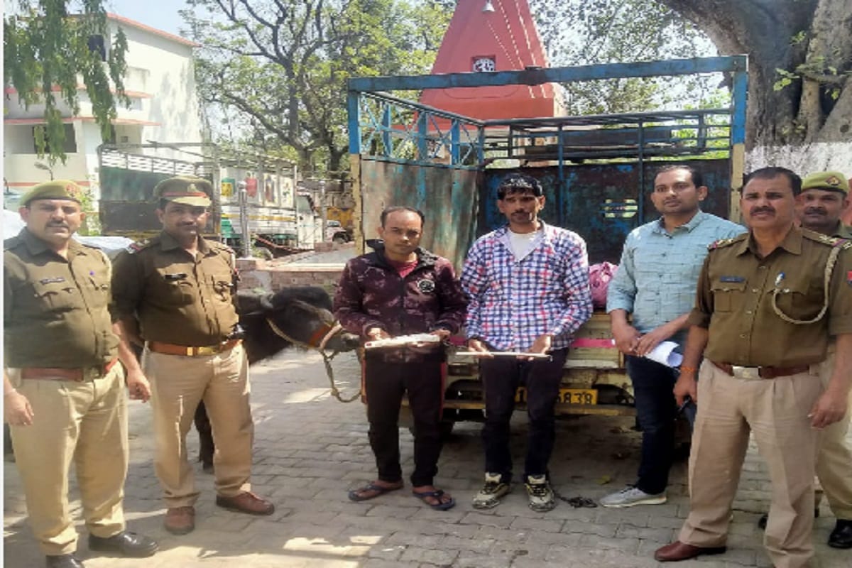 Encounter News: Police has two accused arrested of gang in case of animal theft in Saharanpur