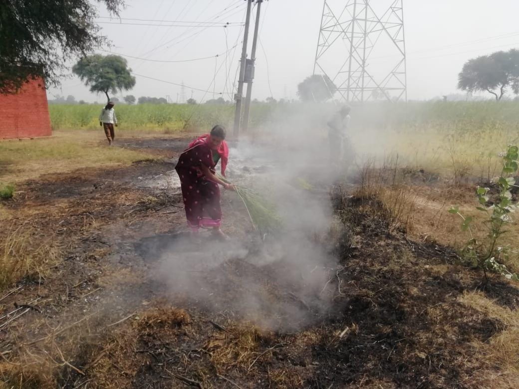 Fire caused by spark of high-tension line, crop burnt