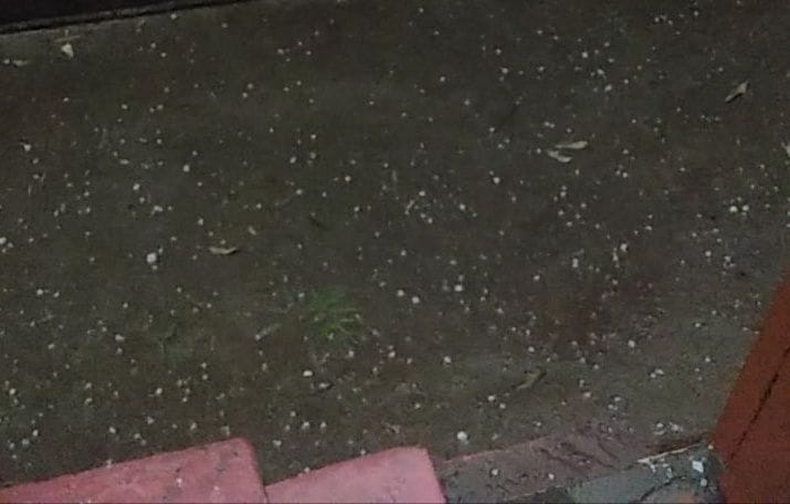Hailstorm in Dujana, damage to crops