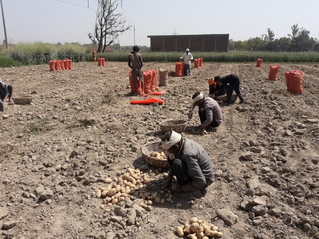 Trouble facing farmers due to cold storage