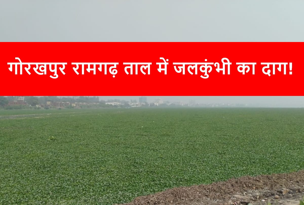 Gorakhpur news
