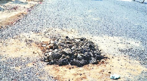 Made the road two days ago, now started digging again
