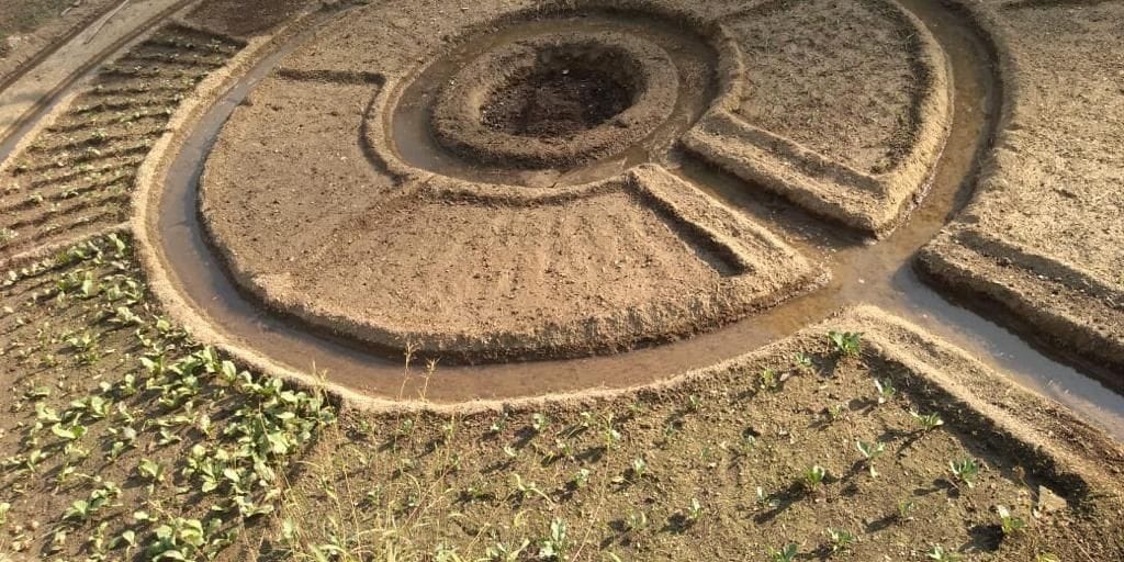 Women are improving their health by creating a Nutri Garden