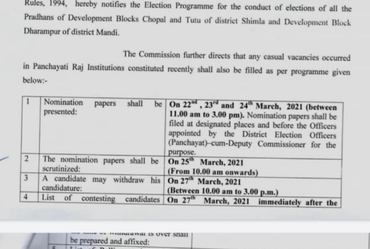 Panchayat pradhan election notification for shimla Tutu and chopal block and Mandi Dharampur Block