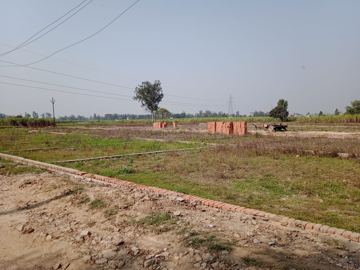 In Dhampur, colonies are being cut in cultivated land
