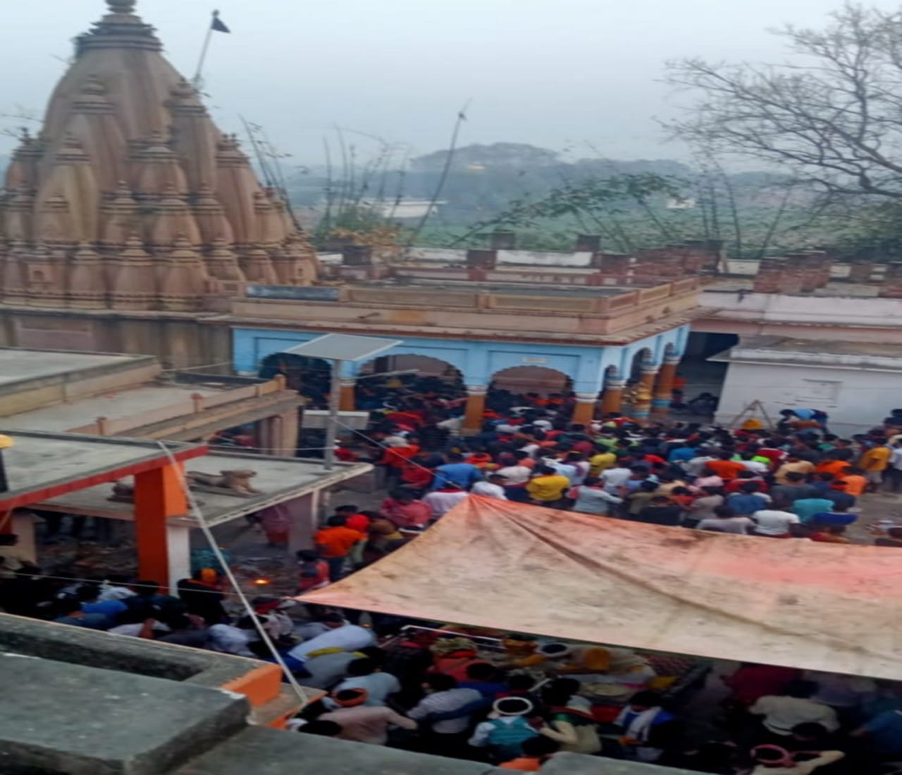 Two lakh devotees worshiped Baba Vishwanath on Mahashivaratri