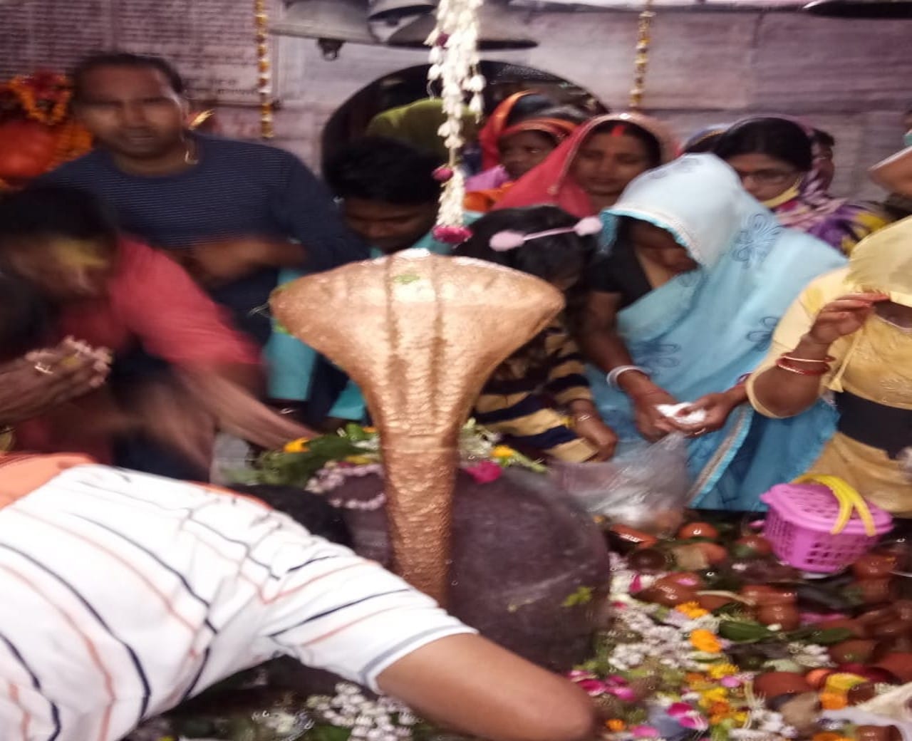 Two lakh devotees worshiped Baba Vishwanath on Mahashivaratri