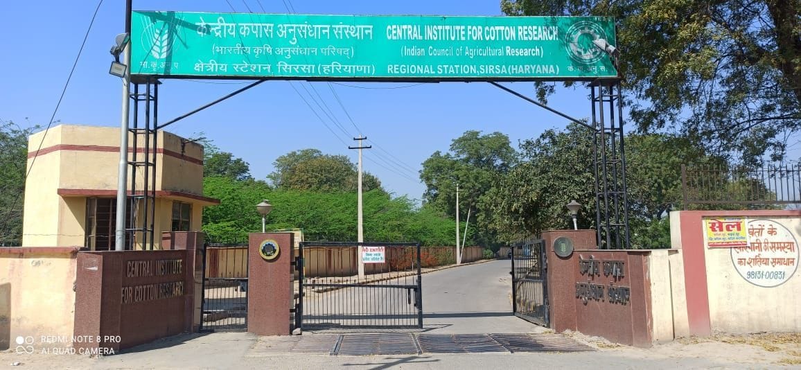 sirsa medical college