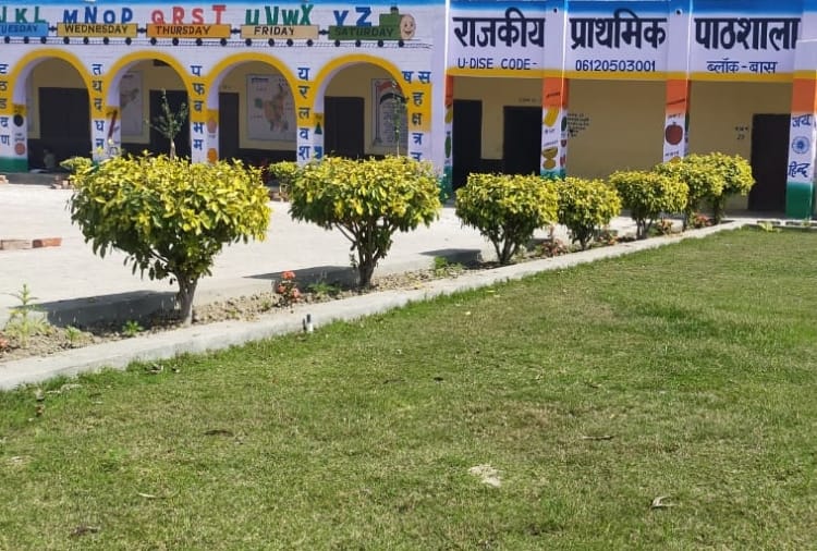 Haryana : Teachers changed appearance of a school by planting trees 