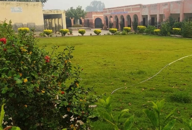 Haryana : Teachers changed appearance of a school by planting trees 