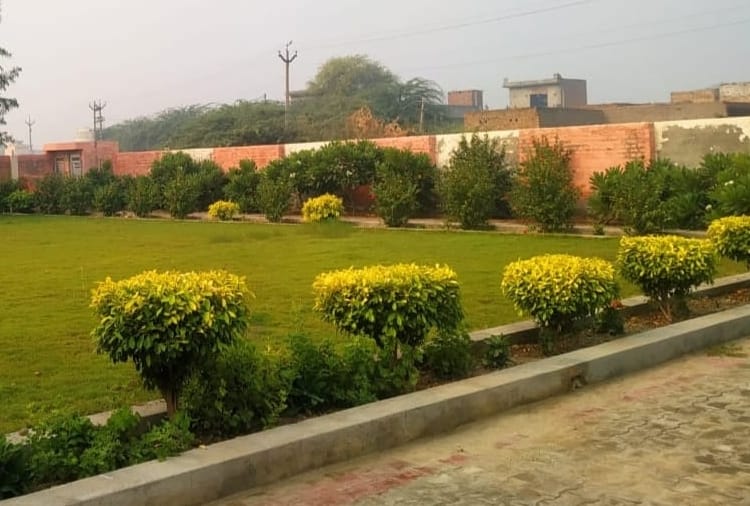 Haryana : Teachers changed appearance of a school by planting trees 