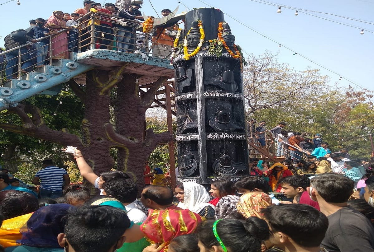 huge crowd of devotee on mahashivrati in temples see pictures blessing by offering Jalabhishek