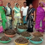 गोधन न्याय योजना के तहत स्व सहायता समूहों की महिलाएं जैविक खाद का निर्माण कर रही हैं