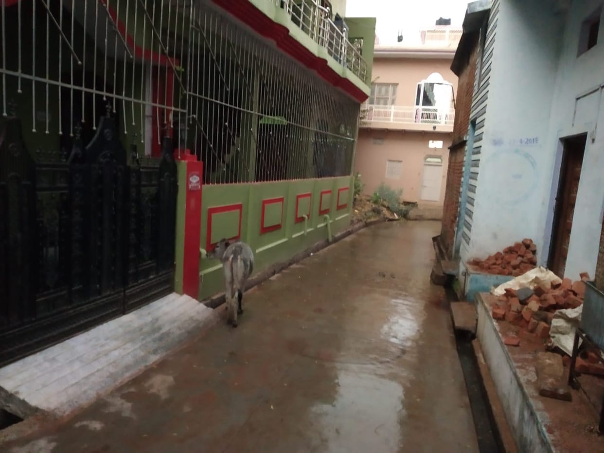 climte changed suddenly, rain
