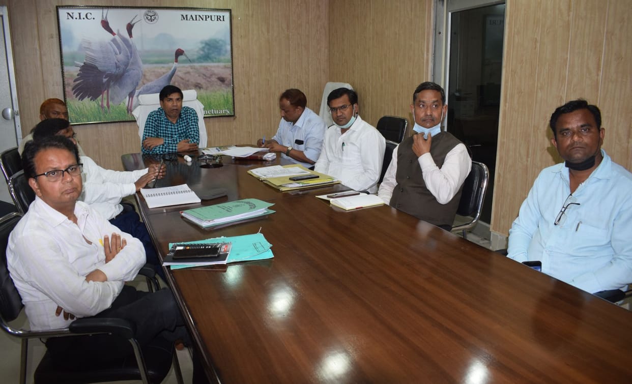Discussion on increasing the area of Zayed in online seminar