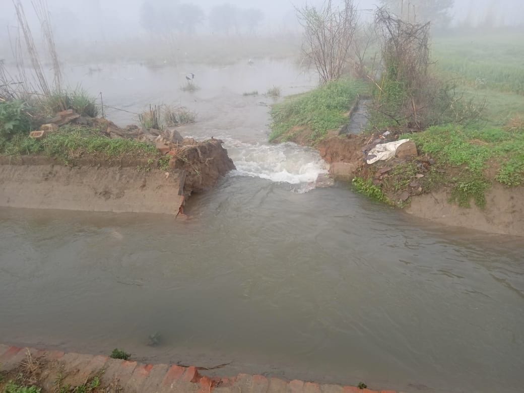 Minor broken in Daboda Kalan village, 20 acres crop submerged
