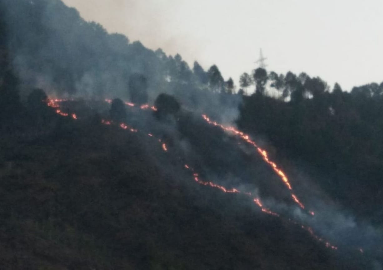 Uttarakhand Weather Forecast Today Update : temperature may down, wildfire incidence increased