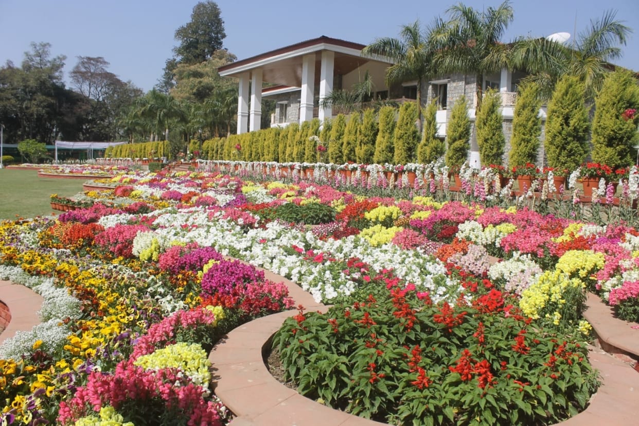 Vasantotsav 2023 from March 3 to 5 Exhibition of 158 species of flowers will be held in Raj Bhavan