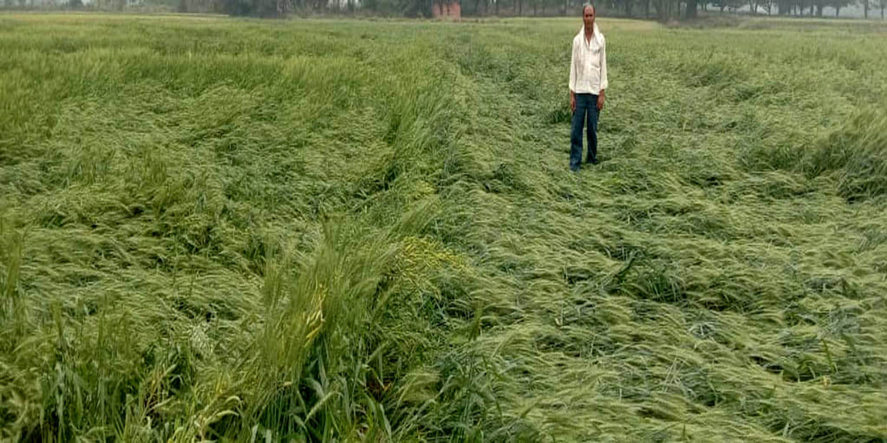 Farmers blow senses due to change in the weather