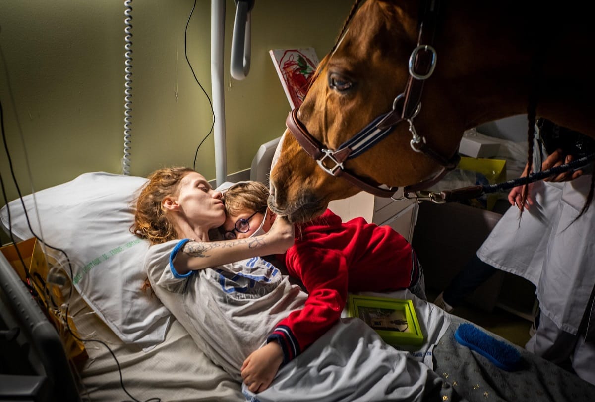Doctor Peyo : the horse comforting cancer patients in Calais hospital Paris France
