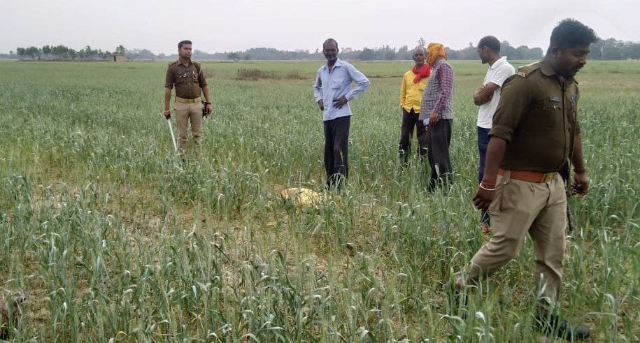 Cattle bones found in farm