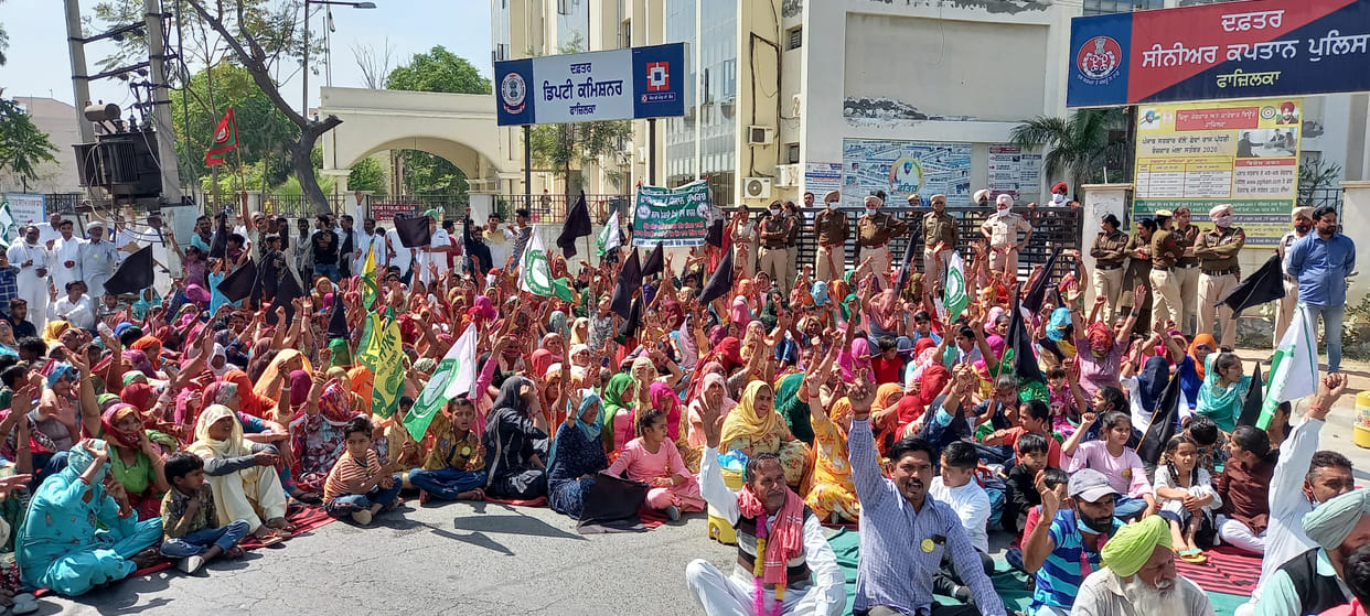 market closed for half a day in protest against liquor factory, Fazilka