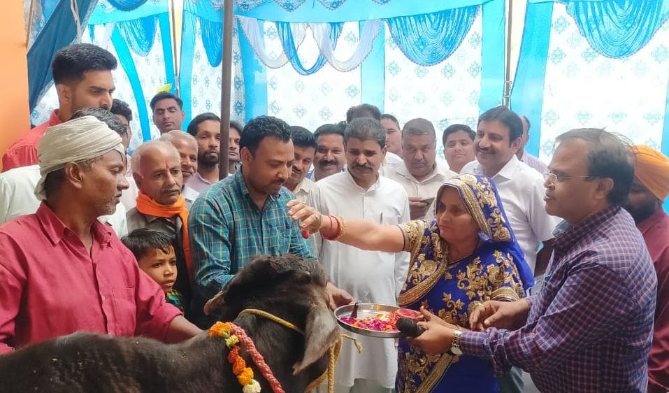Kanha Gaushala inaugurated