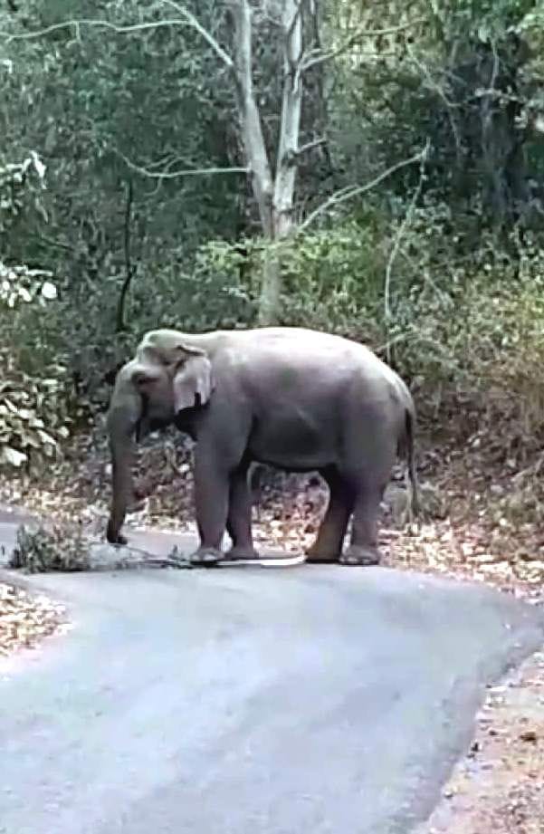 Gajraj is threatening on the road in broad daylight