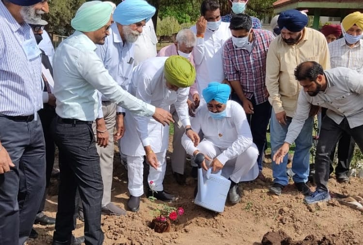 Roses from Maharashtra will be planted in Rose Garden of Mohali