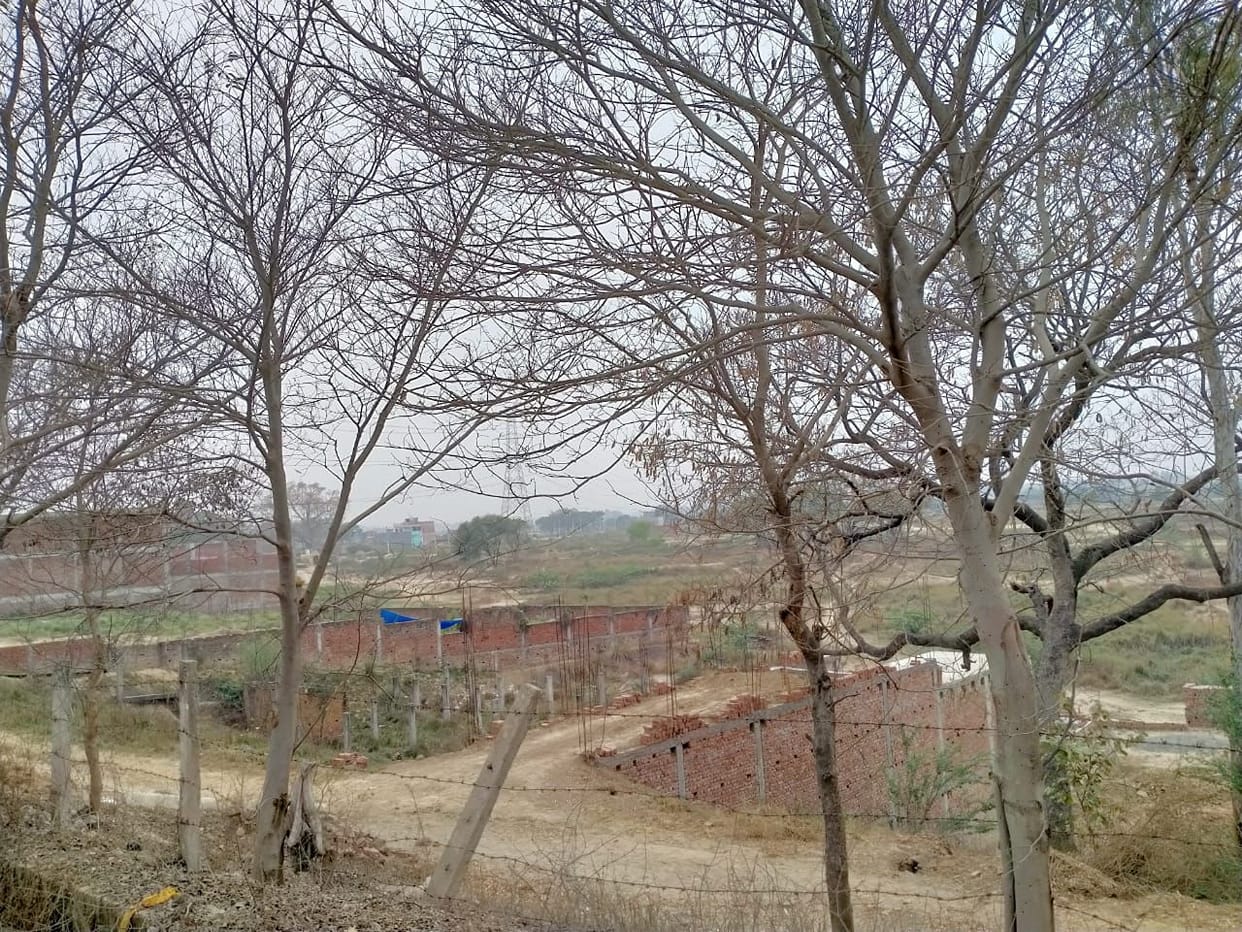Survival in danger: the land mafia platting along the Sasurakheri river