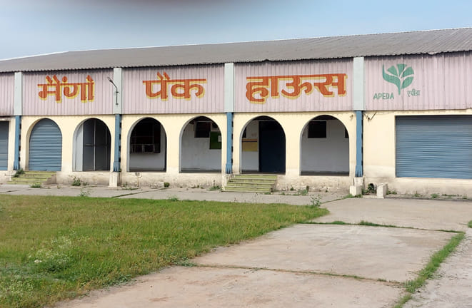 Preparations begin for mango pack house for processing