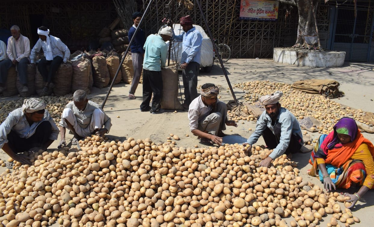 Potato price hit, farmers upset