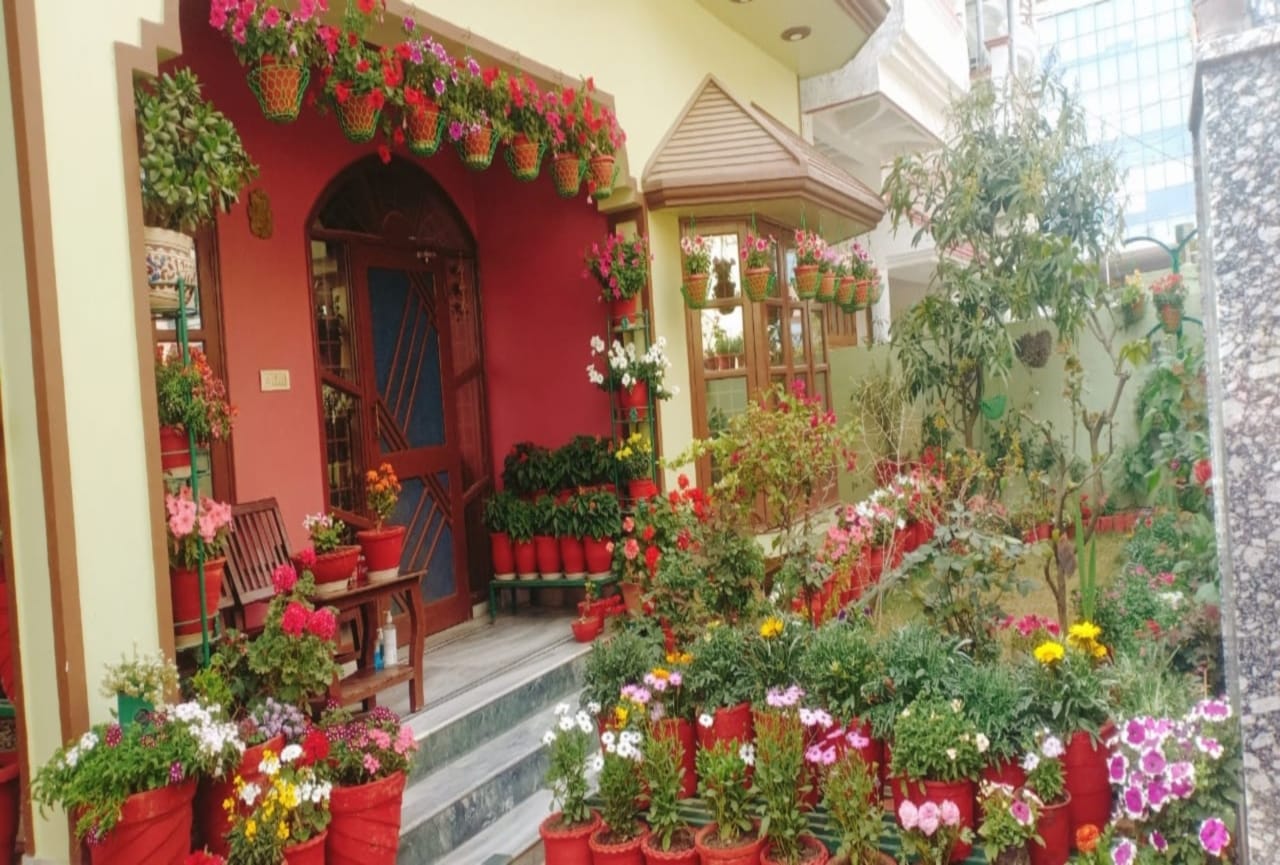 dehradun news: readers sent photographs of garden to amar ujala photos