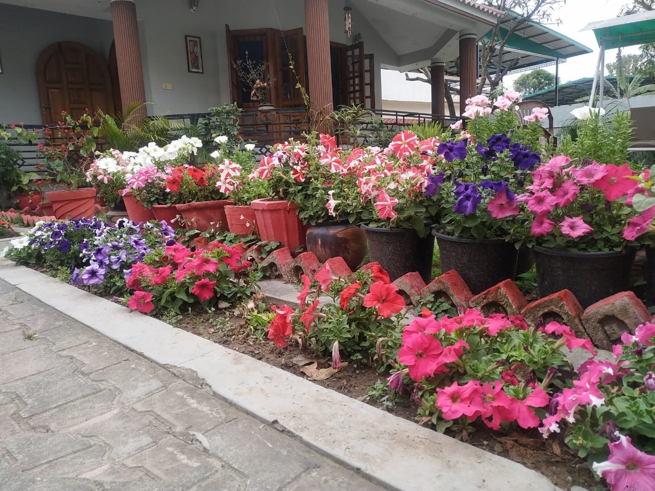 coronavirus in uttarakhand latest news : to over come from tension people engaged their self in gardening