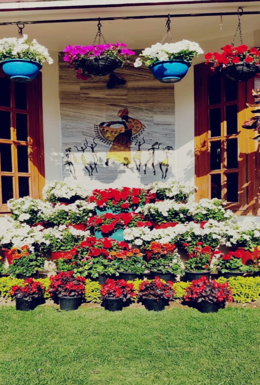 dehradun news: readers sent photographs of garden to amar ujala photos