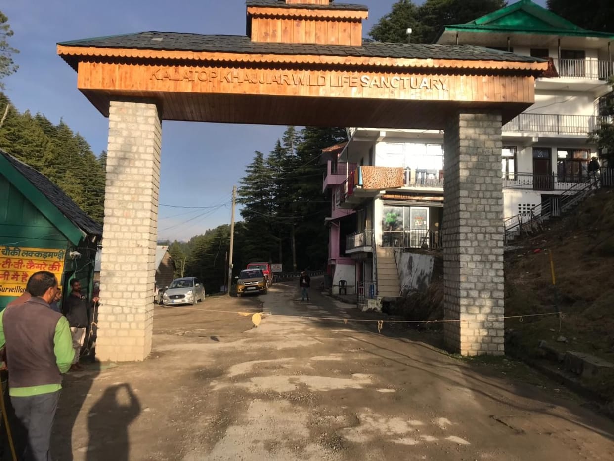 Wood smugglers being held up by thin ropes instead of iron gates, chamba  news