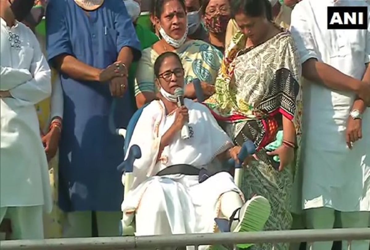 CM Mamta said that BJP leaders bring cash in elections