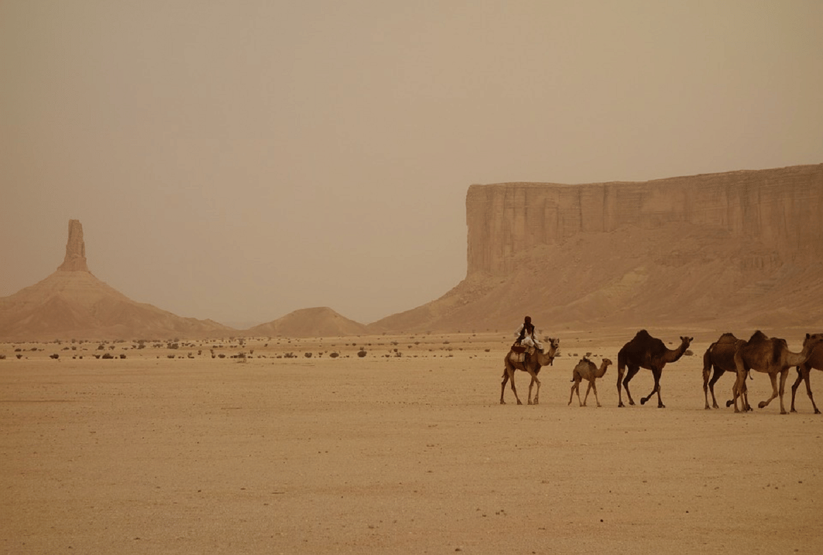 saudi arabia build a new city under neom project where private vehicles not allowed