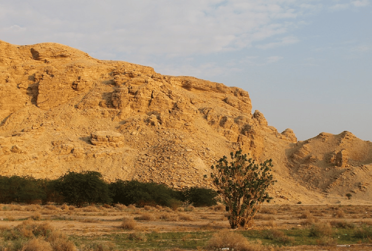 saudi arabia build a new city under neom project where private vehicles not allowed