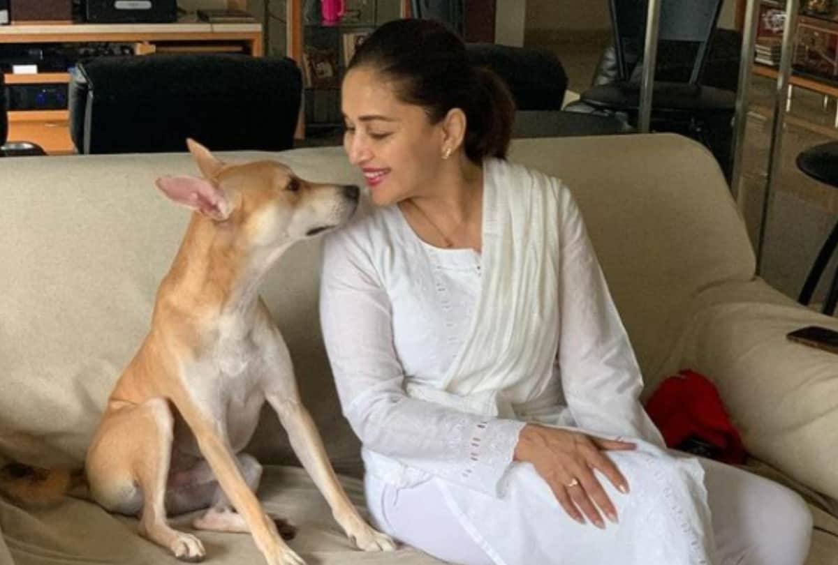 Madhuri Dixit shared picture with Her Adorable Riyaaz Partner